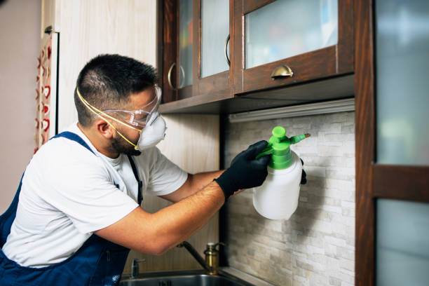 Best Best Pest Control Companies  in Huguley, AL