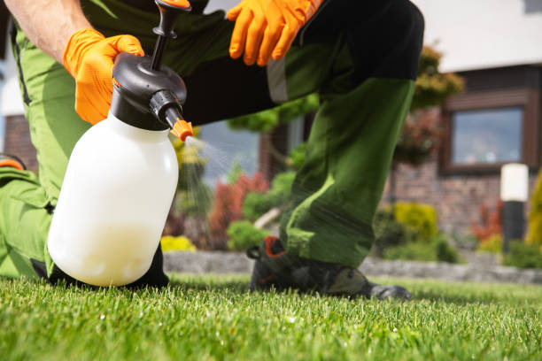 Best Wasp Removal Services  in Huguley, AL