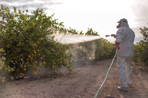 Best Best Pest Control Companies  in Huguley, AL
