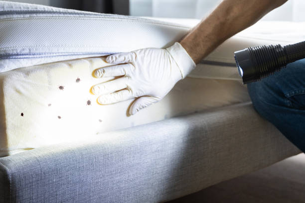 Best Residential Pest Control  in Huguley, AL