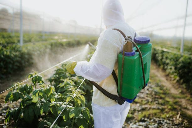 Best Affordable Pest Control Services  in Huguley, AL